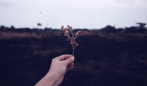 科学认证：你意想不到的生活习惯，能逆转老化-贵阳精神病医院